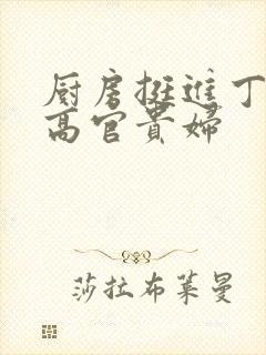 厨房挺进丁字裤高官贵妇