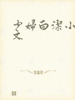 少妇白洁小说全文