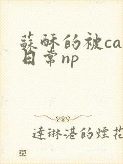 苏酥的被cao日常np