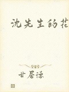 沈先生的花式调