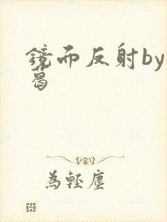 镜面反射by九葛