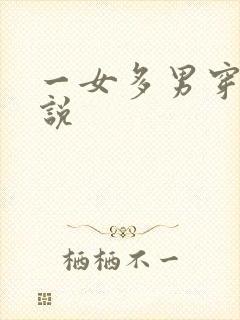 一女多男穿越小说
