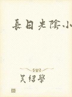 长日光阴小说