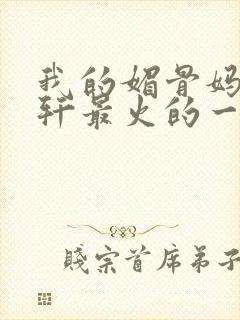 我的媚骨妈妈林轩最火的一句