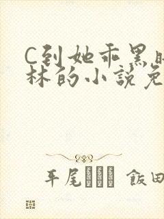 C到她乖黑暗森林的小说免费