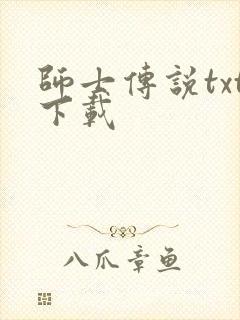 师士传说txt下载
