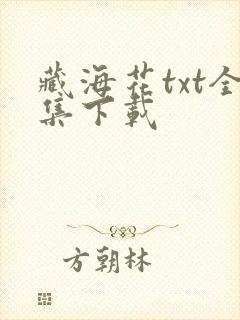 藏海花txt全集下载