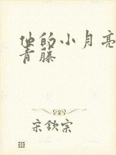 他的小月亮by青藤