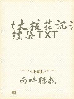 t大校花沉浮录续集TXT