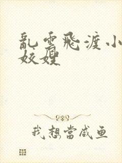 乱云飞渡小说之姣嫂