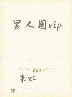 男人团vip