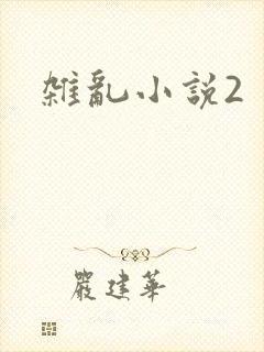 杂乱小说2
