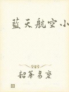 蓝天航空小说