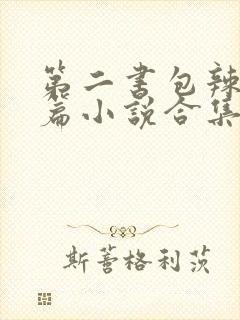 第二书包辣网短篇小说合集