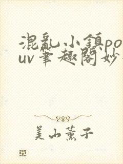 混乱小镇popuv笔趣阁妙妙
