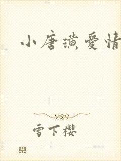 小唐璜爱情历史