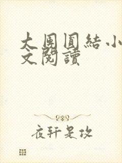 大团圆结小茹全文阅读