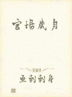 官场岁月