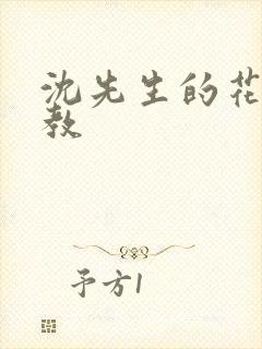 沈先生的花式调教