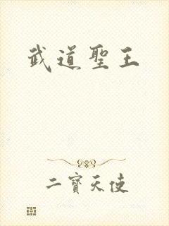 武道圣王