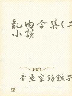 乱肉合集(二)小说