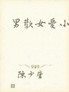 男欢女爱小说