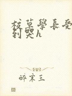 校草学长受被做到哭h