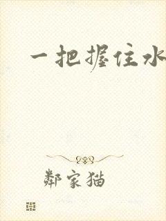 一把握住水蜜桃