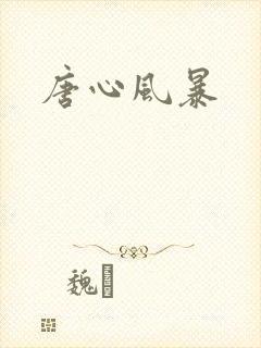 唐心风暴