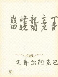 巅峰龙主丁长顺田晓兰免费阅读