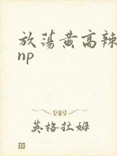 放荡黄高辣h文np