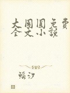 大团圆免费阅读全文小说