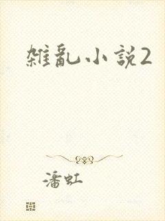 杂乱小说2
