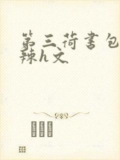 第三荷书包网高辣h文