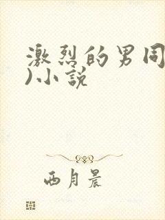 激烈的男同(h)小说