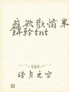 瘾欲欢愉半块小饼干tnt