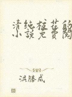 清纯校花的秘密小说免费阅读