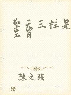 擎天玉柱是什么生肖