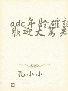 adc年龄确认欢迎大驾光临小说