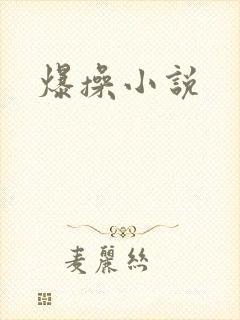 爆操小说