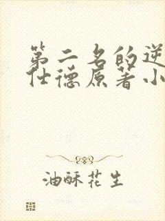 第二名的逆袭高仕德原著小说