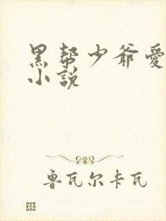 黑帮少爷爱上我小说
