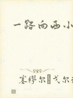 一路向西小说