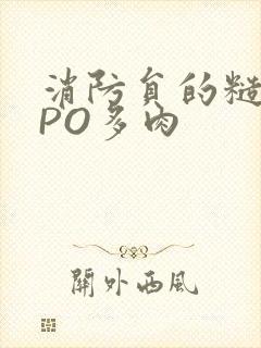 消防员的糙汉文PO多肉