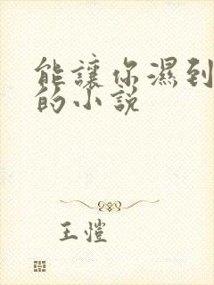 能让你湿到不行的小说