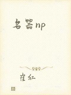 名器np