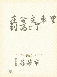 在公交车里c弄到高c了