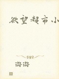 欲望超市小说