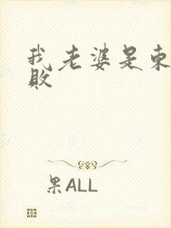 我老婆是东方不败