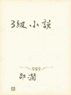 3级小说